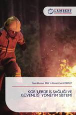 KOBİ'LERDE İŞ SAĞLIĞI VE GÜVENLİĞİ YÖNETİM SİSTEMİ