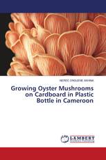 Growing Oyster Mushrooms on Cardboard in Plastic Bottle in Cameroon