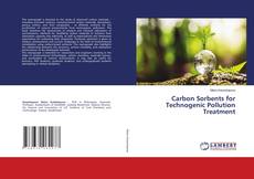 Carbon Sorbents for Technogenic Pollution Treatment