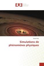 Simulations de phénomènes physiques