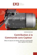 Contribution à la Commande sans Capteur