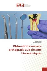 Obturation canalaire orthograde aux ciments biocéramiques