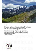 Etude géologique, géophysique et implications pétrolières