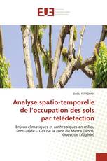 Analyse spatio-temporelle de l’occupation des sols par télédétection
