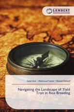 Navigating the Landscape of Yield Trait in Rice Breeding