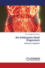 Six Embryonic-Fetal Organizers