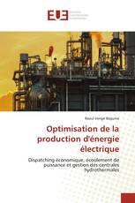 Optimisation de la production d'énergie électrique