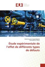 Étude expérimentale de l’effet de différents types de défauts