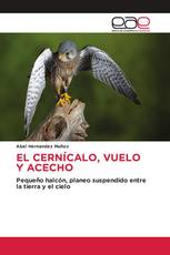 EL CERNÍCALO, VUELO Y ACECHO