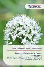 Fertilizer Dynamics in Onion Production