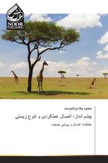 چشم انداز، اتصال عملکردی و تنوع زیستی