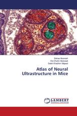 Atlas of Neural Ultrastructure in Mice