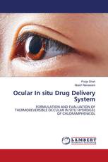Ocular In situ Drug Delivery System