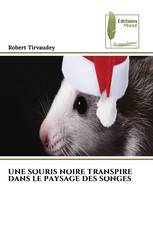 UNE SOURIS NOIRE TRANSPIRE DANS LE PAYSAGE DES SONGES