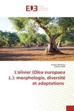 L'olivier (Olea europaea L.): morphologie, diversité et adaptations
