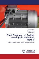 Fault Diagnosis of Rolling Bearings in Induction Motors