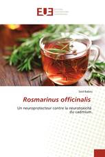 Rosmarinus officinalis