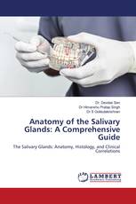 Anatomy of the Salivary Glands: A Comprehensive Guide