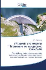 ТЎПАЛАНГ СУВ ОМБОРИ ТЎҒОНИНИНГ МУҲАНДИСЛИК ЕЧИМЛАРИ