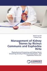 Management of Kidney Stones by Ricinus Communis and Euphorbia Hirta