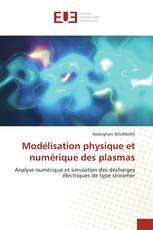 Modélisation physique et numérique des plasmas