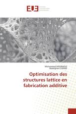 Optimisation des structures lattice en fabrication additive