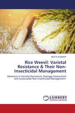 Rice Weevil: Varietal Resistance & Their Non-Insecticidal Management