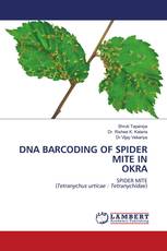 DNA BARCODING OF SPIDER MITE IN OKRA