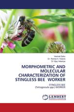 MORPHOMETRIC AND MOLECULAR CHARACTERIZATION OF STINGLESS BEE WORKER