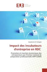 Impact des incubateurs d'entreprise en RDC