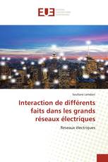 Interaction de différents faits dans les grands réseaux électriques