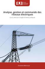 Analyse, gestion et commande des réseaux électriques