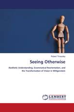 Seeing Otherwise