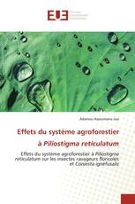 Effets du système agroforestier à Piliostigma reticulatum