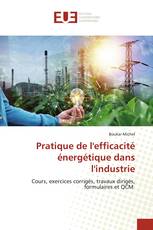 Pratique de l'efficacité énergétique dans l'industrie