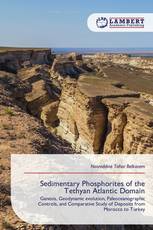 Sedimentary Phosphorites of the Tethyan Atlantic Domain