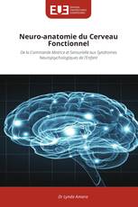 Neuro-anatomie du Cerveau Fonctionnel