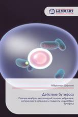 Действие бутифоса