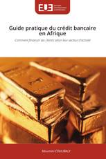 Guide pratique du crédit bancaire en Afrique