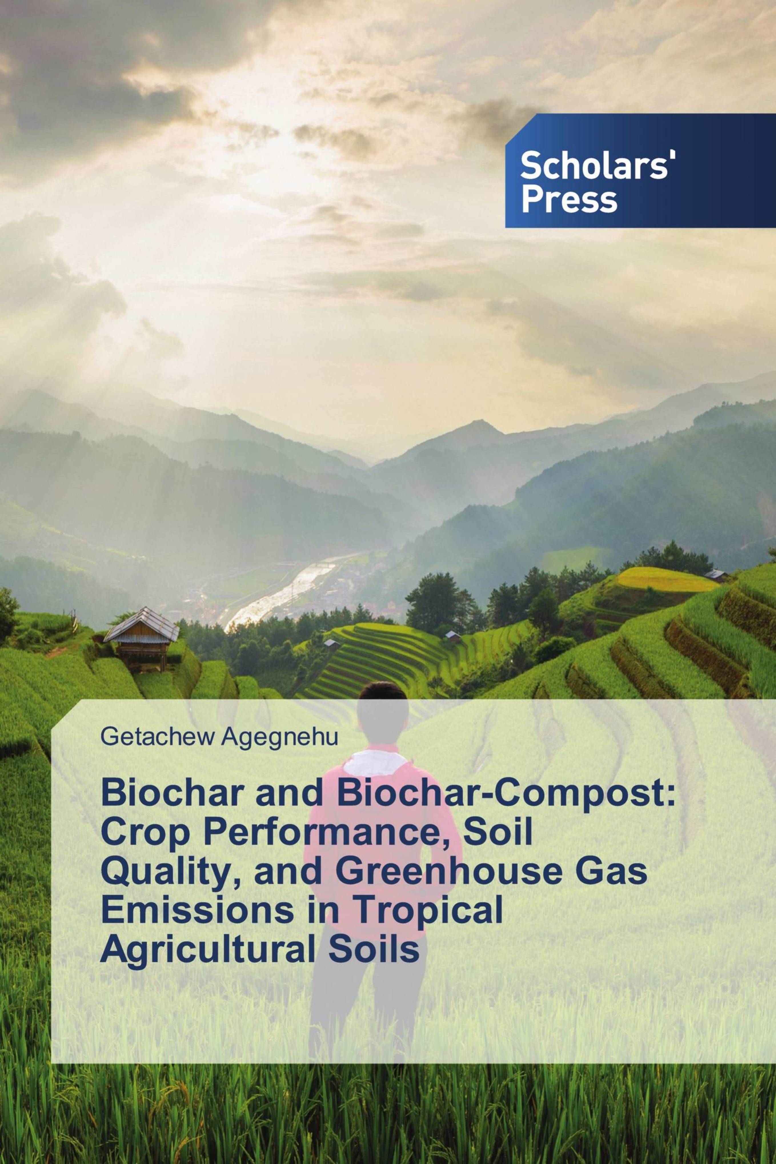 Buy Biochar and Biochar-Compost Book Online at Best Price | Bookscape