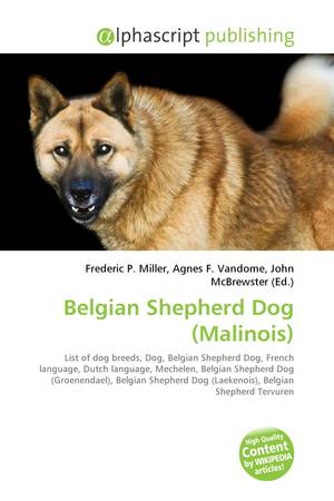 Belgian Shepherd - Wikipedia