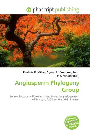 angiosperm phylogeny
