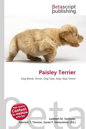 what kind of dog is paisley terrier