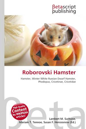 Roborovski dwarf hamster - Wikipedia