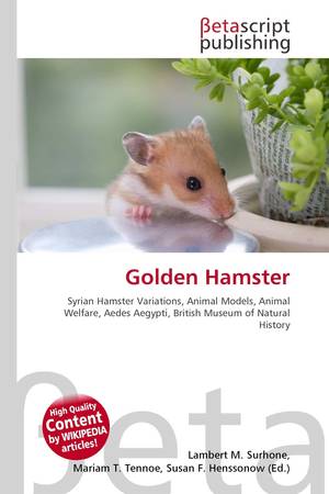 Syrian Hamsters, All you need to know about hamsters Wikia