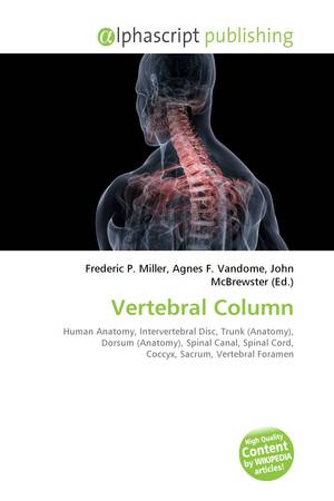 Vertebral column - Wikipedia