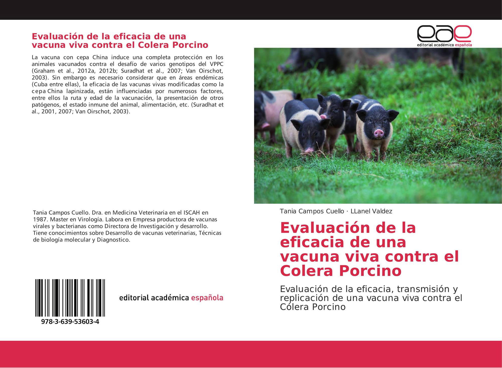 Patogénesis del cólera porcino de la hipertensión