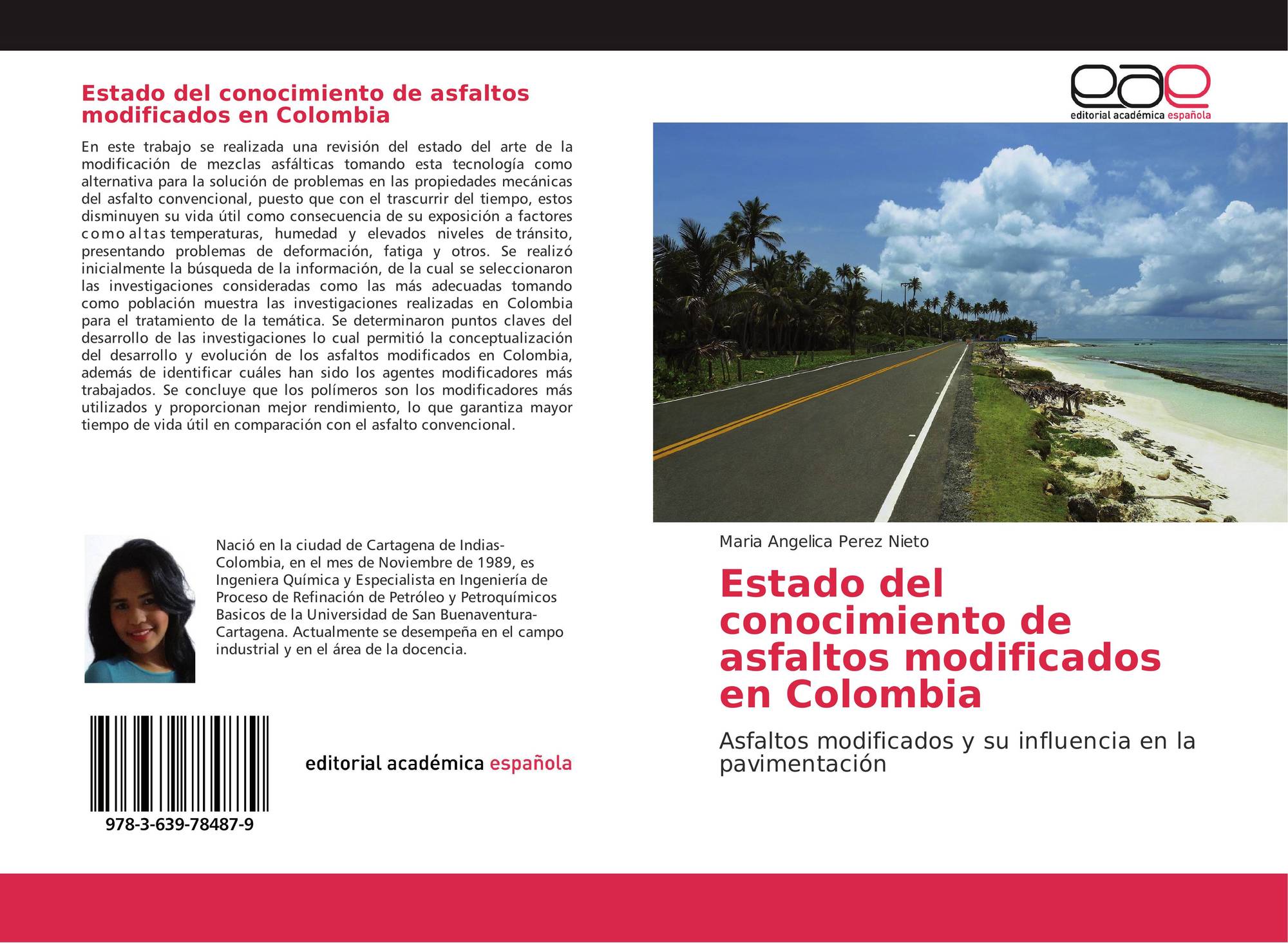 Estado Del Conocimiento De Asfaltos Modificados En Colombia 978 3
