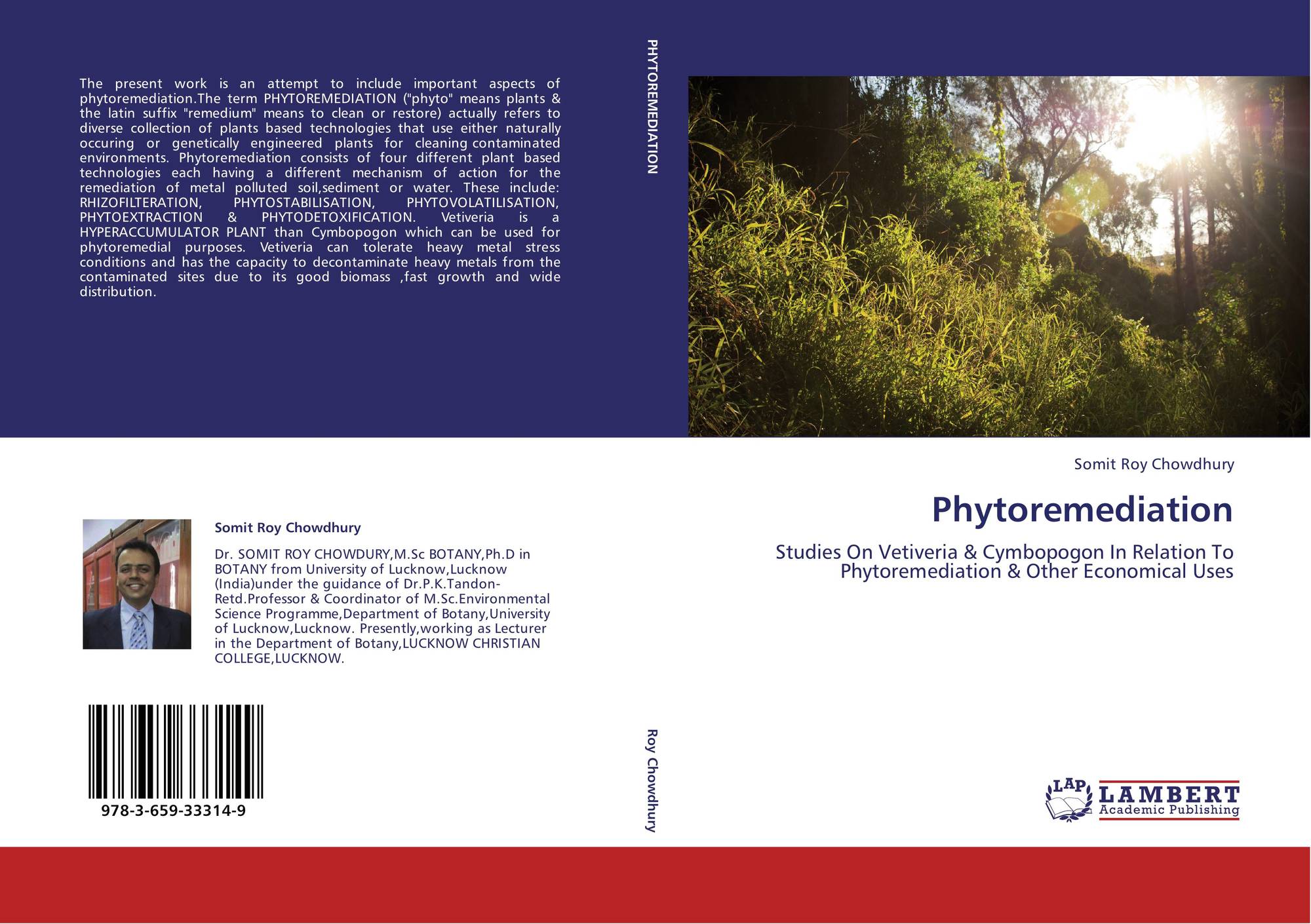 Phd thesis on phytoremediation