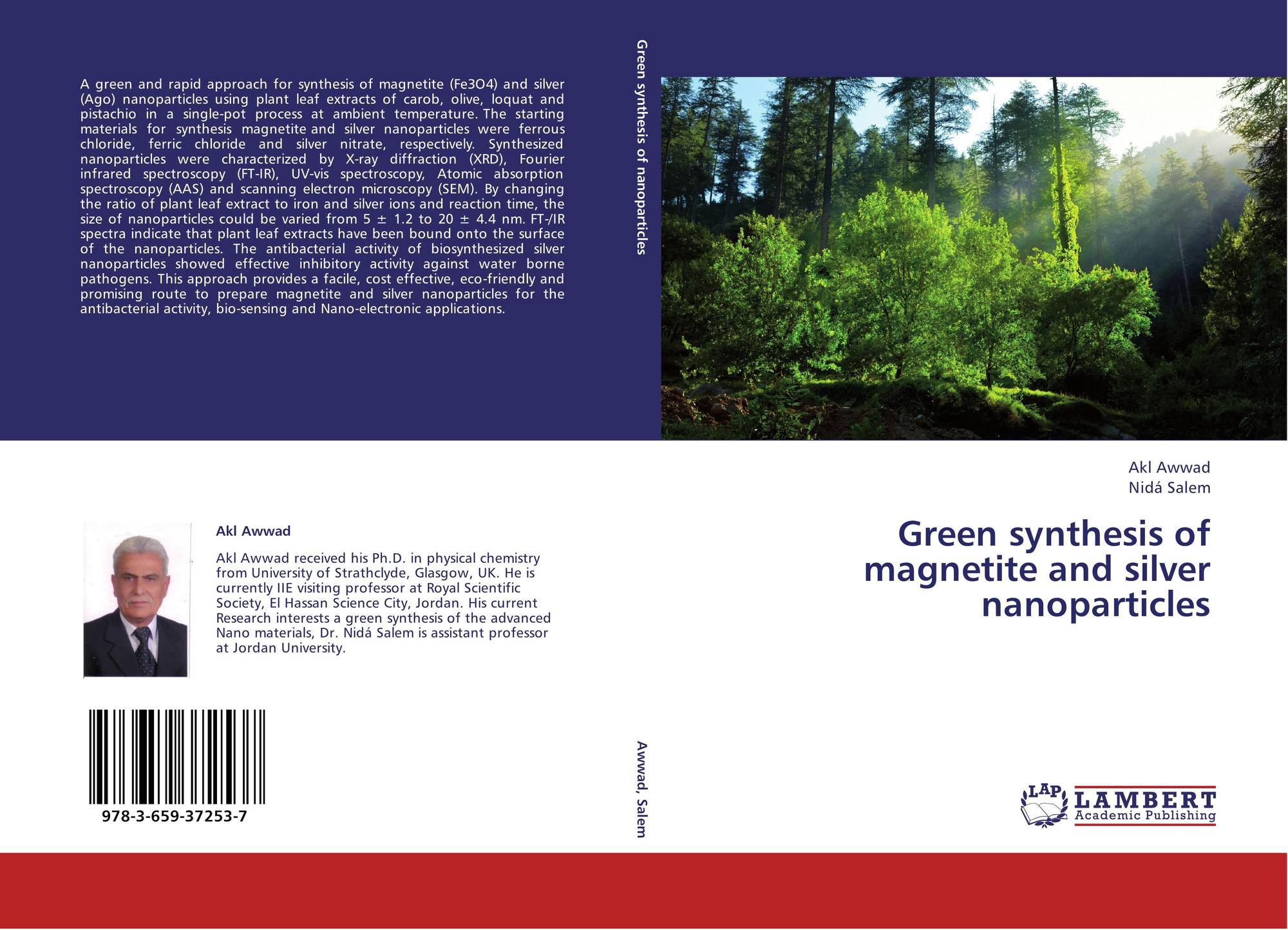 Green Synthesis Of Manganese Oxide Nanoparticles - Report: Synthesis of Ruthenium Dioxide Nanoparticles and ... : Green synthesis of manganese nanoparticles: